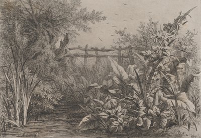 A Lagoa, 1857. de Eugene Bléry