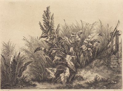 Cais de Água de Eugene Bléry