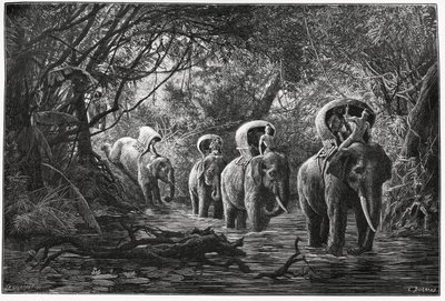 No caminho para a floresta, a expedição viaja na parte de trás de um elefante. Gravura de Eugene Burnand, para ilustrar a história "Viagem no Alto Laos", em 1880, pelo Dr. P.Neis. Publicado em Le Tour du monde, nouveau journal des voyages, 2º semestre 18 de Eugene Burnand