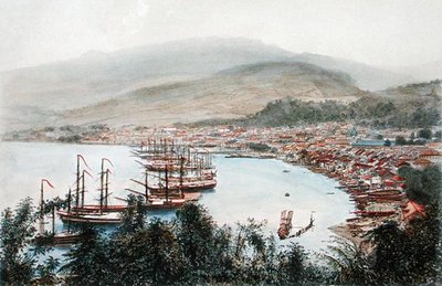 Vista de Saint-Pierre vista da bateria de armas em Sainte-Marthe, Martinica (litografia a cores) de Eugene Ciceri