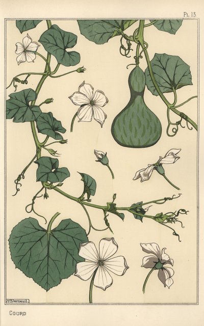 Ilustração botânica da cabaça de Eugene Grasset
