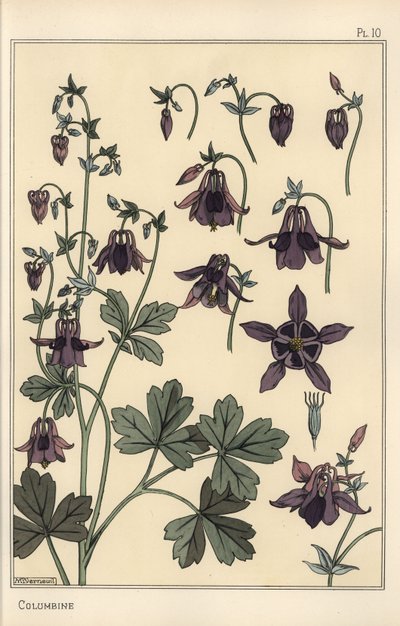 Columbine, Aquilegia vulgaris, partes de flores de Eugene Grasset