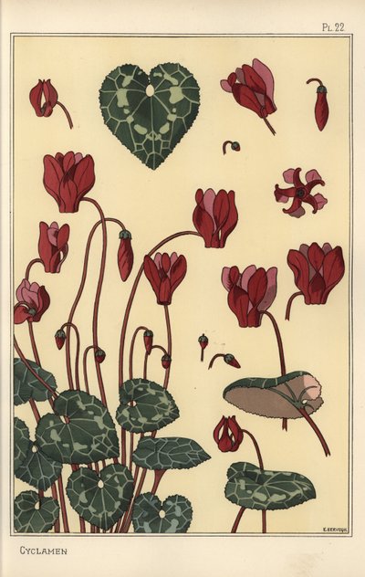 Ciclamen planta, com detalhes da flor, folhas, pétalas de Eugene Grasset
