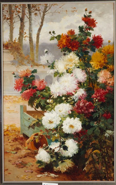 Crisântemos em um jardim murado de Eugene Henri Cauchois