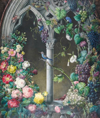 Cachos de rosas, Ipomoea e videiras, em torno de uma arcada em estilo gótico fantasioso, dois pássaros, espécies desconhecidas e uma traça de tigre (wc e bodycolour no papel) de Eugene Joseph Prevost