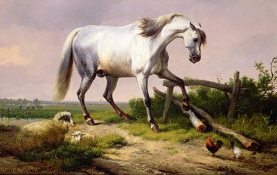 Um garanhão cinzento com ovelhas e aves de Eugene Joseph Verboeckhoven