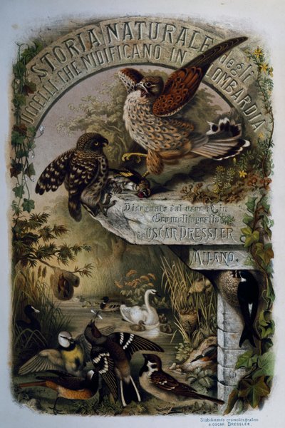 Página de título de História Natural das Aves que nidificam na Lombardia, de Eugenio Bettoni (1845-1898), gravura de Oscar Dressler, Itália de Eugenio Bettoni, Oscar Dressler