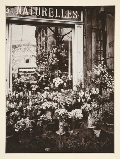 Boutique Fleurs -37 (Loja de Flores) de Eugène Atget