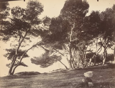 Cannes, Ilha de Saint Honorat de Eugène Atget