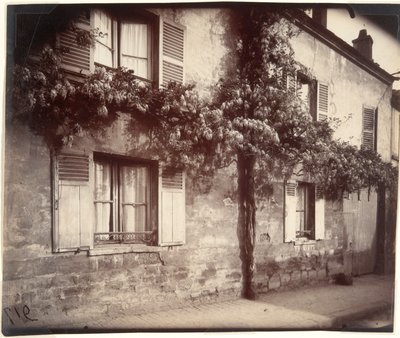 Glycine (Wisteria), Ch?tillon de Eugène Atget