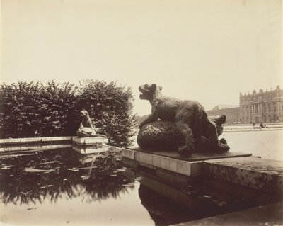 Versalhes, Fontaine du Point du Jour, Tiger Slaying a Bear por Houzeau, 1903. de Eugène Atget