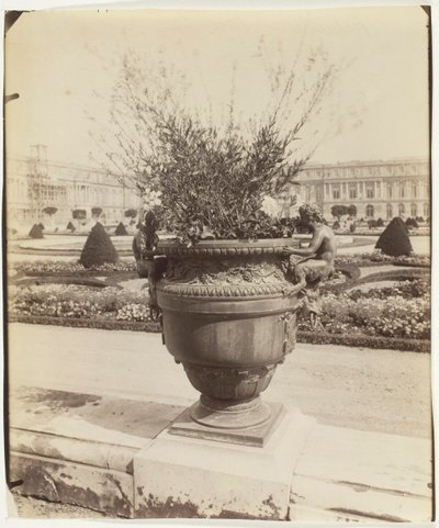Versalhes, Vaso de Ballin, 1902. de Eugène Atget