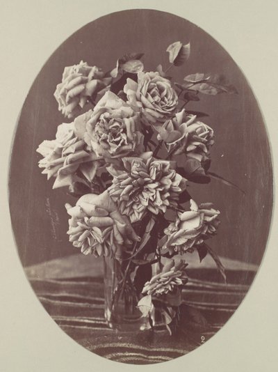[Rosas], c. 1875. de Eugène Chauvigné