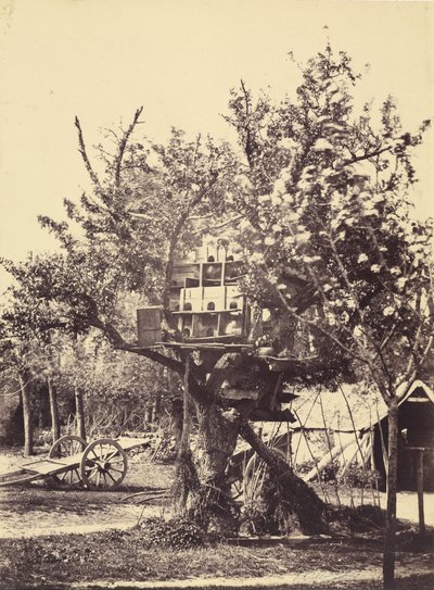Pigeon House in Tree de Eugène Colliau