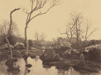 bela cruz de Eugène Cuvelier
