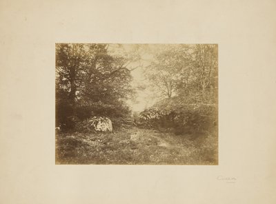 [Estudo paisagístico]. de Eugène Cuvelier