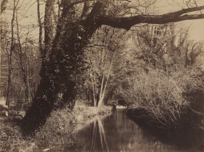 Parque Courances de Eugène Cuvelier