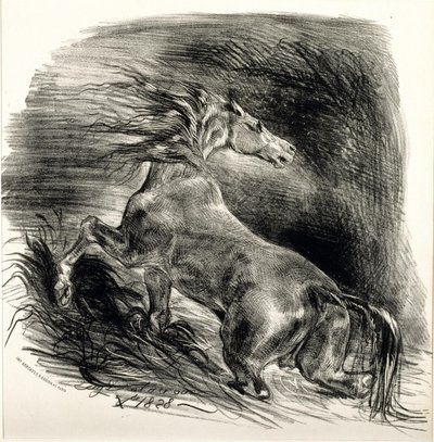Cavalo selvagem de Ferdinand Victor Eugene Delacroix