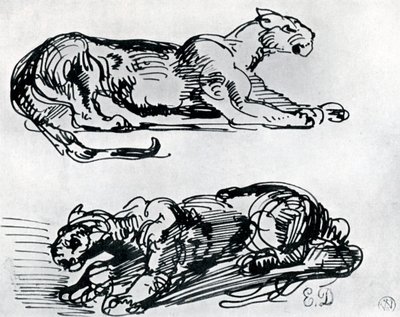 Estudos das Panteras, 1913 de Ferdinand Victor Eugene Delacroix