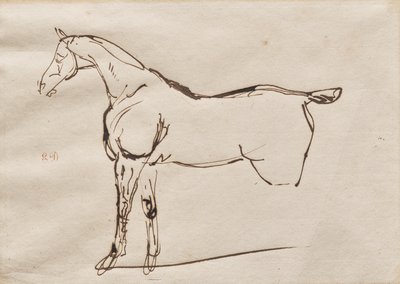 Estudo de um cavalo de Eugène Delacroix
