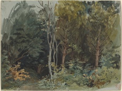 The Edge of a Wood em Nohant, c. 18421843. de Eugène Delacroix