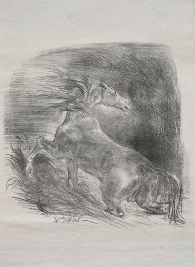 O cavalo selvagem, ou cavalo assustado saindo da água de Eugène Delacroix