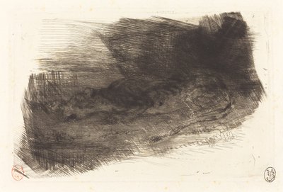 Tigre dormindo na entrada de seu covil Tigre dormindo na entrada de seu covil, c. 18281833. de Eugène Delacroix