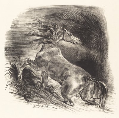 Cavalo selvagem saindo da água (Cheval sauvage) de Eugène Delacroix