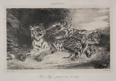 Jovem tigre brincando com sua mãe de Eugène Delacroix