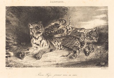 Jovem tigre brincando com sua mãe Jovem tigre brincando com sua mãe, 1831. de Eugène Delacroix