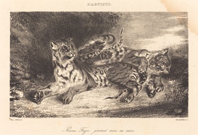 Jovem tigre brincando com sua mãe Jovem tigre brincando com sua mãe, 1831. de Eugène Delacroix