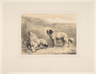 Três cachorros Vários animais (título da série) Etudes d