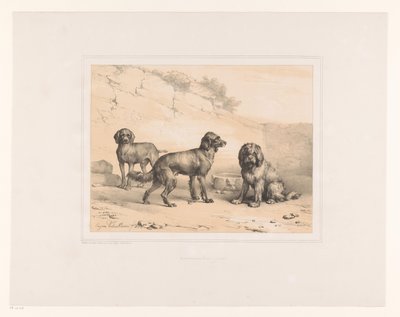 Drie honden
Diversos dieren (título da série)
Estudos com animais (título da série) de Eugène Verboeckhoven
