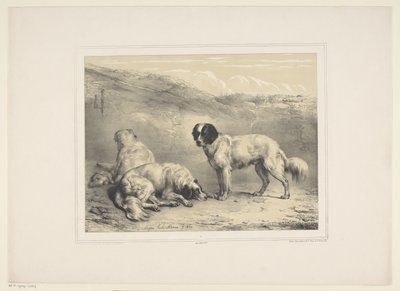 secar honden Vários tamme dieren (título da série) Treze temas de animais domésticos e nativos (título da série) de Eugène Verboeckhoven