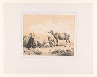 Caprinos, ovelhas e dois cordeiros
Vários animais (título da série)
Études d