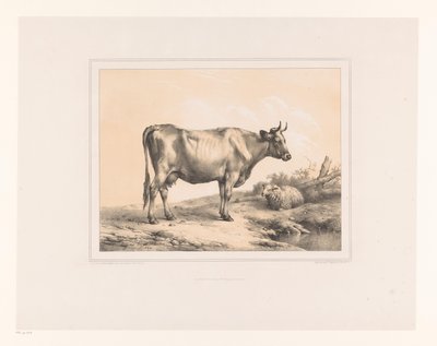 Vaca e ovelha numa paisagem
Vários animais (título da série)
Études d