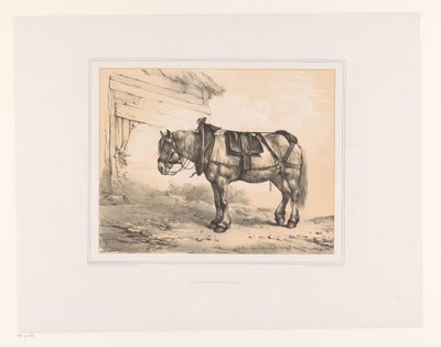 Cavalo com sela e cabresto
Vários animais (título da série)
Études d
