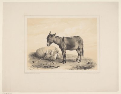 Rustende pakezel
Diversos dieren (título da série)
Estudos com animais (título da série) de Eugène Verboeckhoven