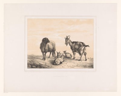 Ovelhas, cabras e três cabritos Vários animais (título da série) Etudes d