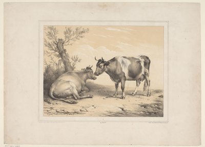 Twee koeien Vários tamme dieren (título da série) Treze temas de animais domésticos e nativos (título da série) de Eugène Verboeckhoven