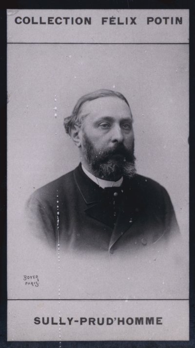 Armand Sully Prudhomme (1839) (foto a p/b) de European Photographer