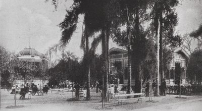 Brazil: San Paolo, Jardim da Luz (b/w photo) de European Photographer