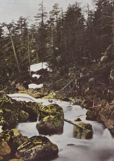 Cauterets, ponte superior, outono, de, espanha de European Photographer