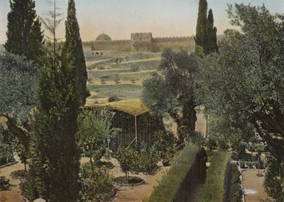 Jardim do Getsêmani de European Photographer