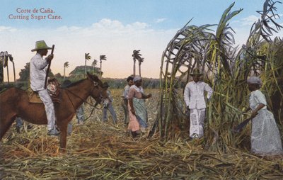 Havana, Cuba: Corte de cana de açúcar (foto) de European Photographer