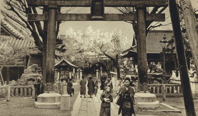 Japão, Rua em Tóquio, tempo de flor de cerejeira (foto a p/b) de European Photographer