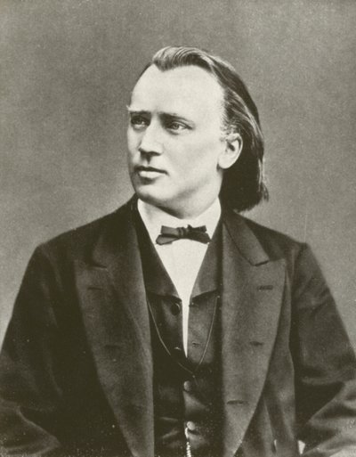 Johannes Brahms, retrato, c 1876 (foto p/b) de European Photographer