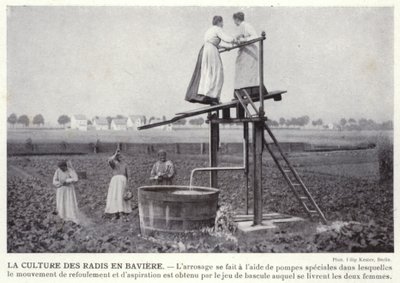 Growing Radishes in Bavaria (foto a p/b) de European Photographer