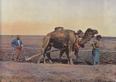 Agricultor Tekes de European Photographer