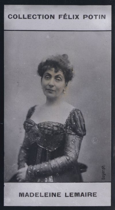 Madeleine Lemaire (1845) (foto a p/b) de European Photographer